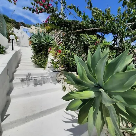 Casa Simonetta Il Glicine Ponza