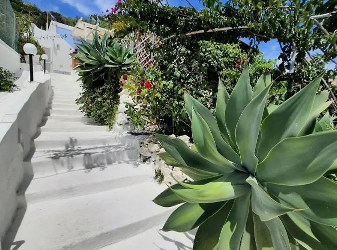 Casa Simonetta Il Glicine Ponza